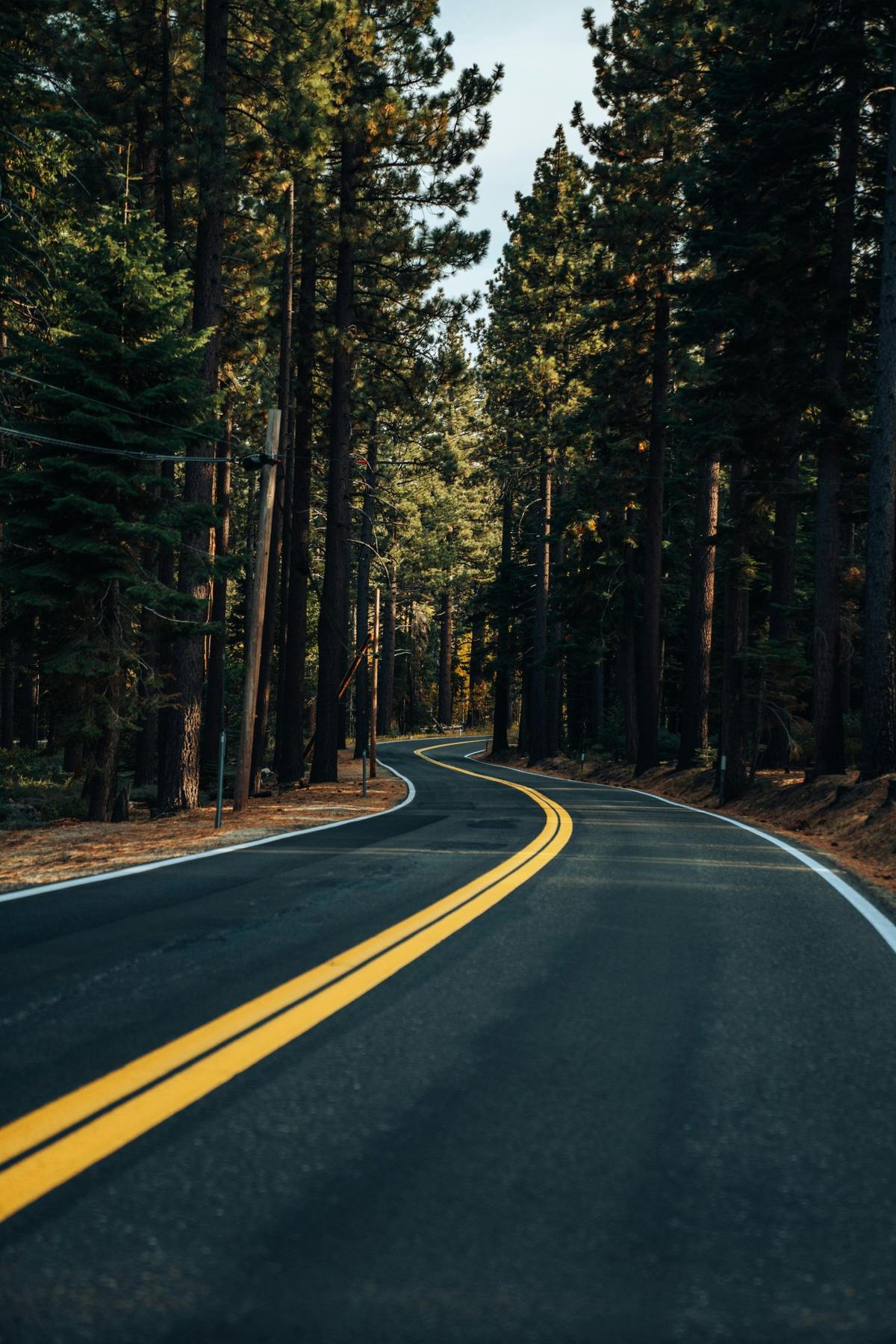 Scenic Winding Road Through the Woods A beautifully paved, winding road through lush woods on a sunny day, symbolizing the smooth and reliable journey provided by Princeton Elite Car Service